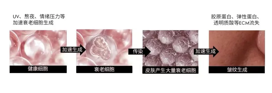 微信圖片_20240715175211.png
