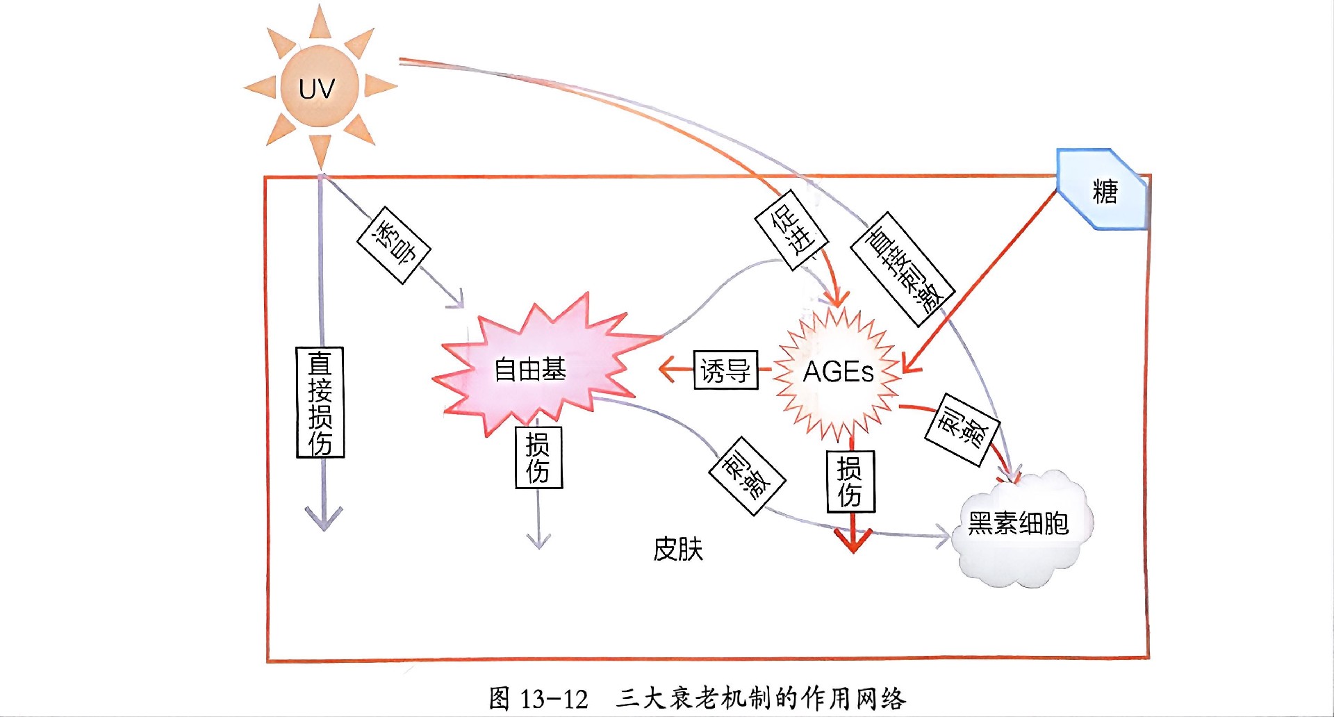 微信圖片_20240802111320.jpg